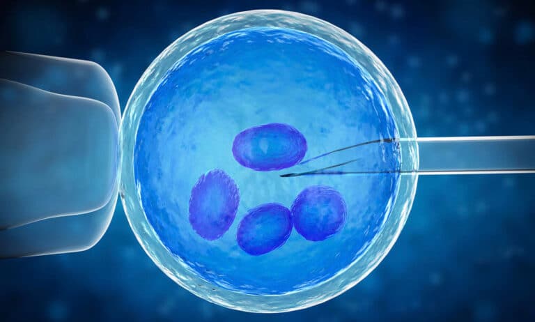 fecondazione in vitro fallita