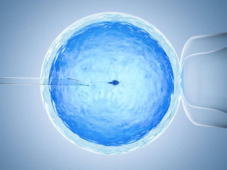 Inseminazione artificiale impianto